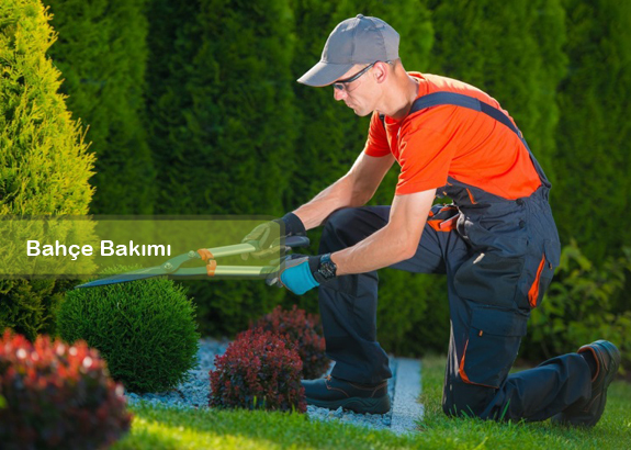 Konya Bahçe Düzenleme ve Bakımı